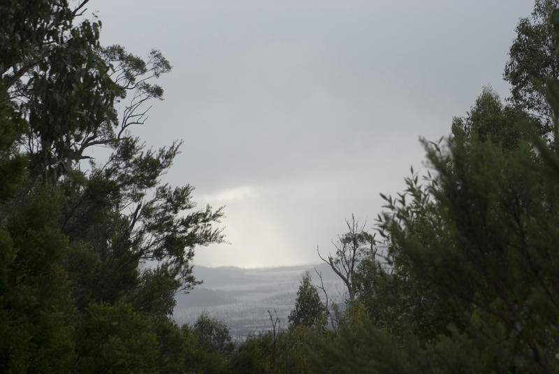 trees and a distance view of land flooded by the gordon river dam