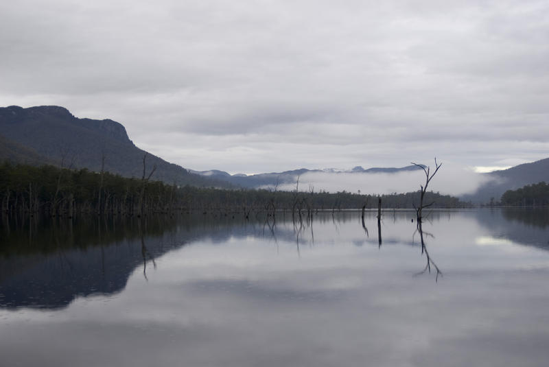 reflected landscape in the surface of lake rowallan, tasmania state forest