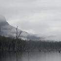 5830   lake rowallan mist
