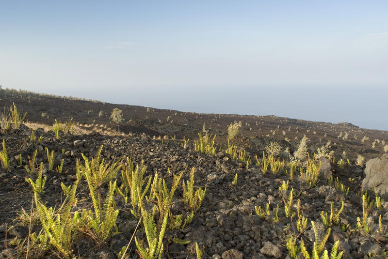 huge lava field of black volcanic rock, hawaiis big island