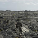 5528   Solidified Lava Fields