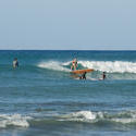 5491   Waikiki Surfing