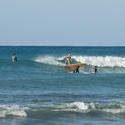 5491   Waikiki Surfing