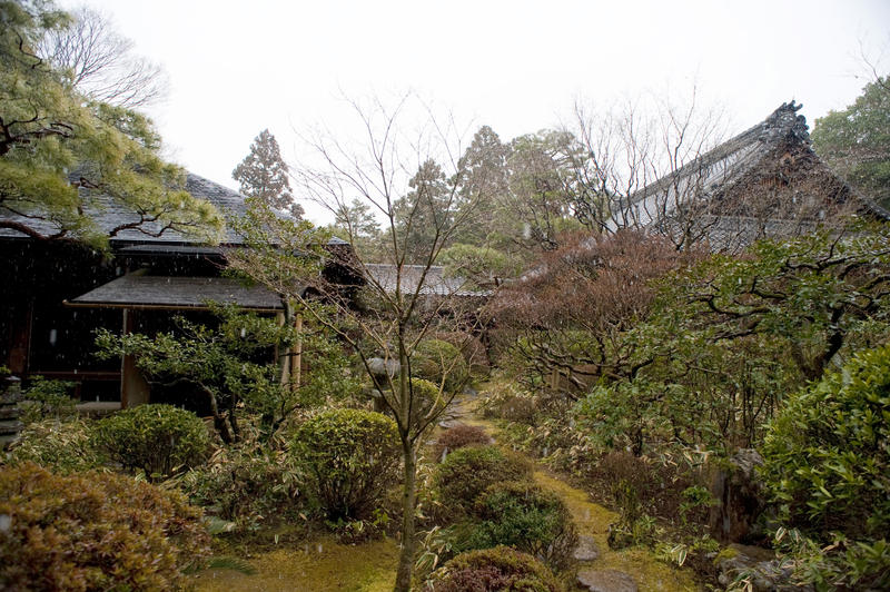 manicured plants and trees in a japanese temple garden, Koto-in, kyoto, japan