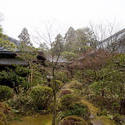6079   japanese temple gardens