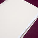 5420   Blank white closed folder