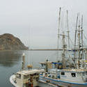 5715   morro bay fishing boats