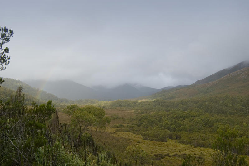tasmania southwest wilderness national park near mount wedge