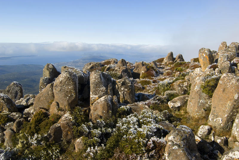 landscape image with frost covered plants and rocks on the top of mount wellington, tasmania