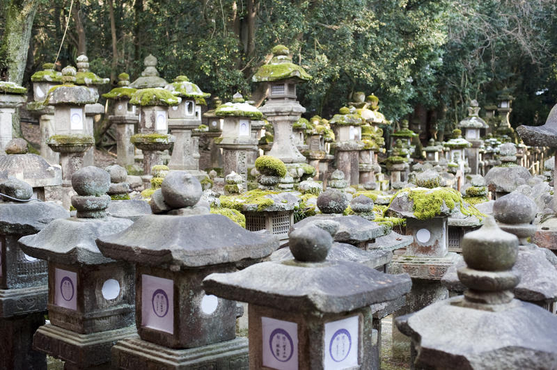 a vast array of stone Tachi-doro lanterns in the Kasuga Taisha Shrine complex, Nara, Japan