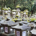 6082   Kasuga Taisha Lanterns