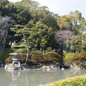 6026   Formal Japnese Garden