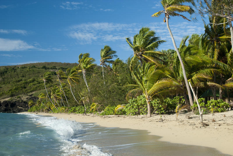 Tropical island paradise beach with deserted golden sand, gentle blue and white surf and lush green windblown palm trees