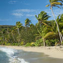 6339   Tropical paradise beach