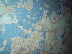 6582   peeling paint