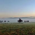 7371   Pendle Hill A View from Great Harwood