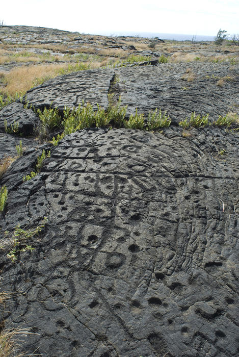historic petroglyphs at pu'u loa created by hawaiian people representing stories passed down through history