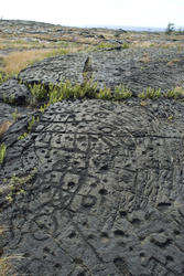 5531   Puu Loa Petroglyphs