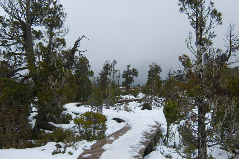snow covering the boardwalk at pine lake, tasmania central highlands