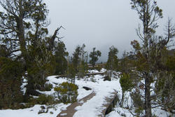 5820   snow covered footpath