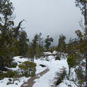 5820   snow covered footpath