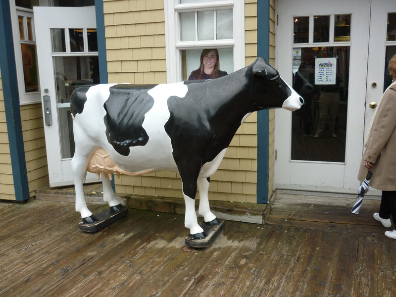 Large plastic model of a black and white dairy cow standing on a wooden deck outside a commercial shop or restaurant