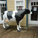 6758   Large plastic model of a dairy cow