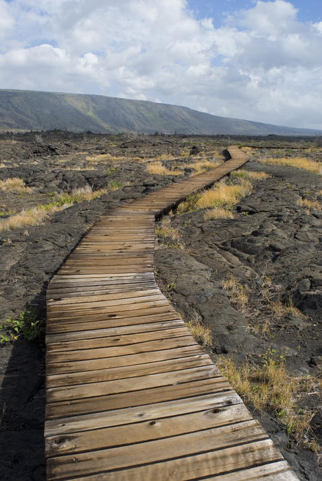 boardwalk over lava fields to the pu'u loa petroglyph stone carvings