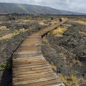 5532   Puu Loa Board Walk