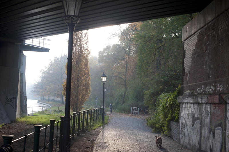 Paved footpath lined with trees along the River Spree with mist clinging to the landscape