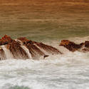 5622   Rock and Sea
