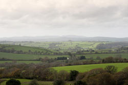 7323   Cornish countryside on a misty day