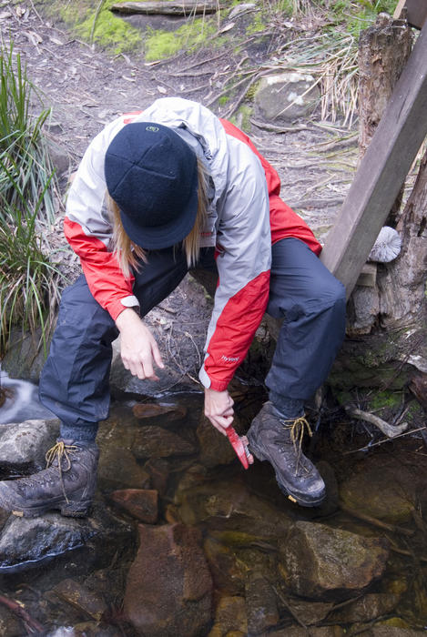 a boot cleaning station on cape pillar at lunchtime creek