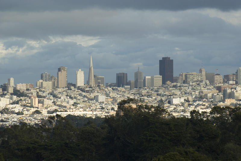 san francisco skyline with storm clouds and trees in the foreground