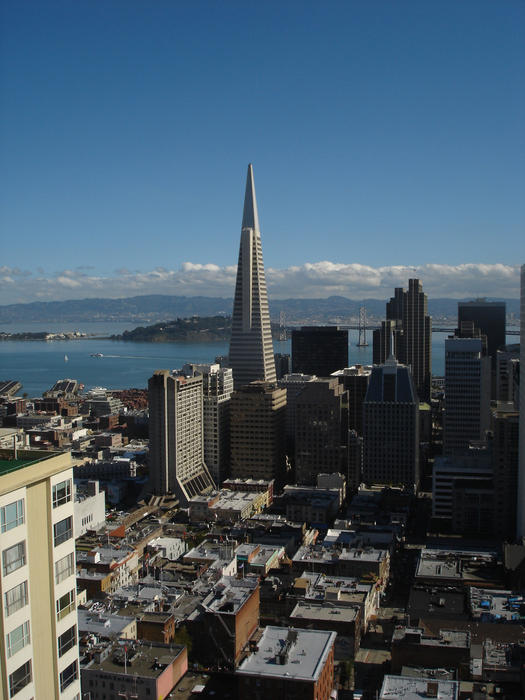 famous transamerica pyramid building and san francisco downtown