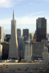 5600   coit tower and city