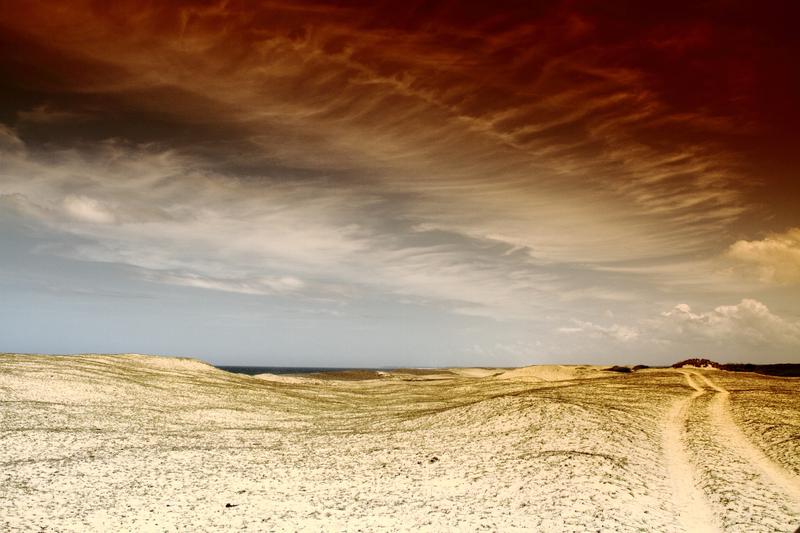 Sands of dune seen in Bundala national park, hambantota, Srilanka