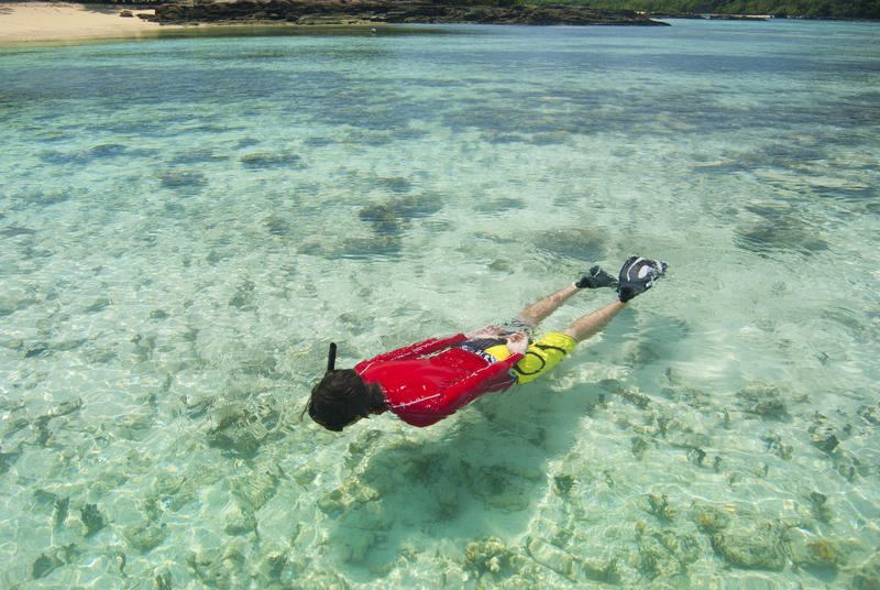 Man snorkeling in shallow crystal clear water just off the shores of a tropical island in Fiji