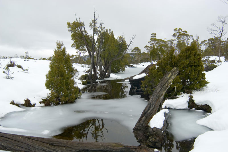 frozen ponds in the solomons jewels area of walls of jerusalem national park