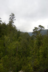 5877   south west wilderness
