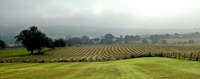 <p>Rolling farmland, Squires Farm Great Harwood.jpg</p>