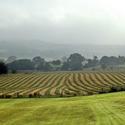 7373   Squires Farm Great Harwood