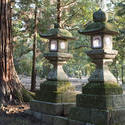 6113   Kasuga Taisha Lanterns
