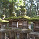 6115   Kasuga Taisha Lanterns