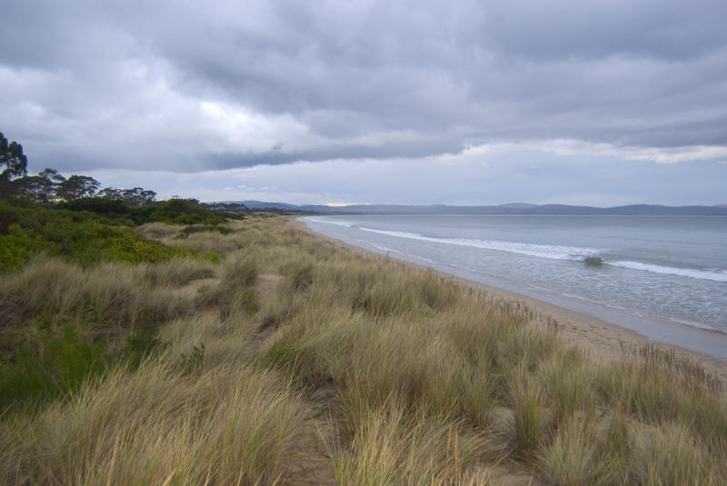 dunes and grasses at 7 mile hobart, tasmania