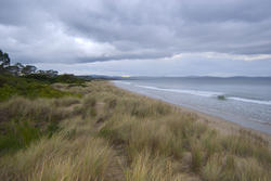 5839   sand dunes 7 mile beach