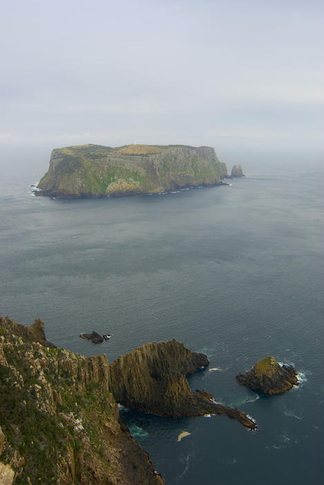 the remote tasman island off the coast of the tasman peninsula