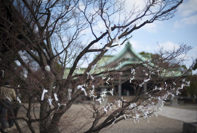 Omikuji strips of paper tied to trees at a shrine in Osaka, Japan