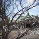 6117   Omikuji fortunes