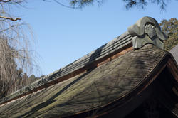 6007   Ryoan ji Shingle Roof